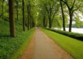 Wandern Hamburg » Entspannende Wanderungen in Hamburg